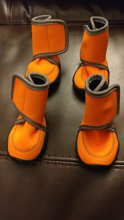 Dog shoes
