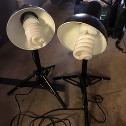 Photography Lights With Small Stands And Bulbs