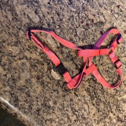 Dog Harness Size Small New 