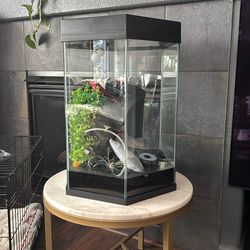 Full 20 Gallon Hexagon Aquarium