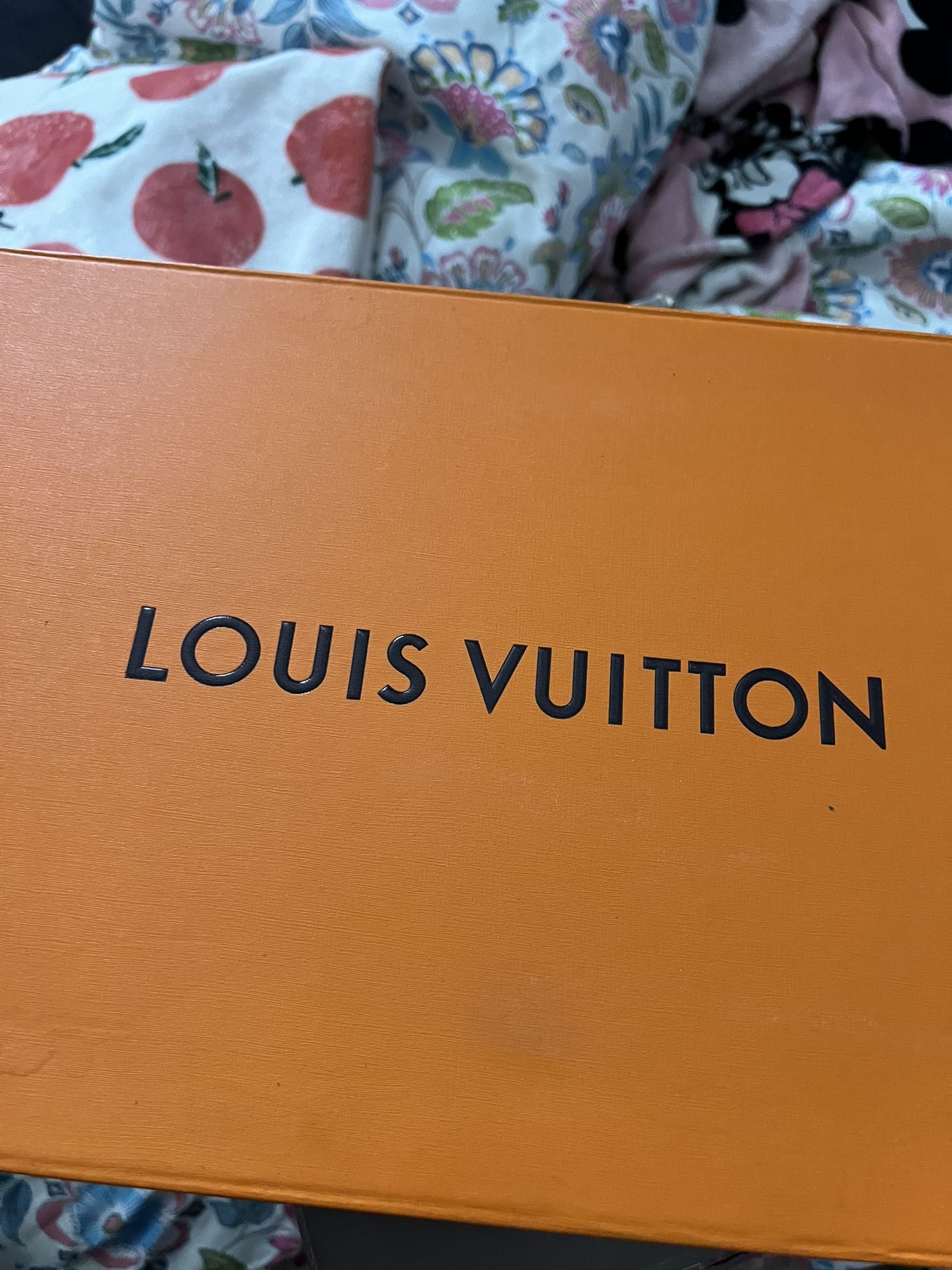 Louis Vuitton Slides