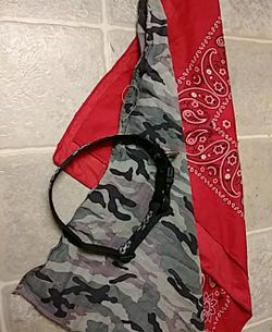 Dog collar and 2 extra bandanas