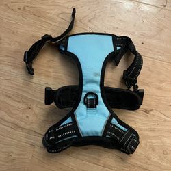 Blue Dog Harness 