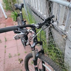 Bici 29