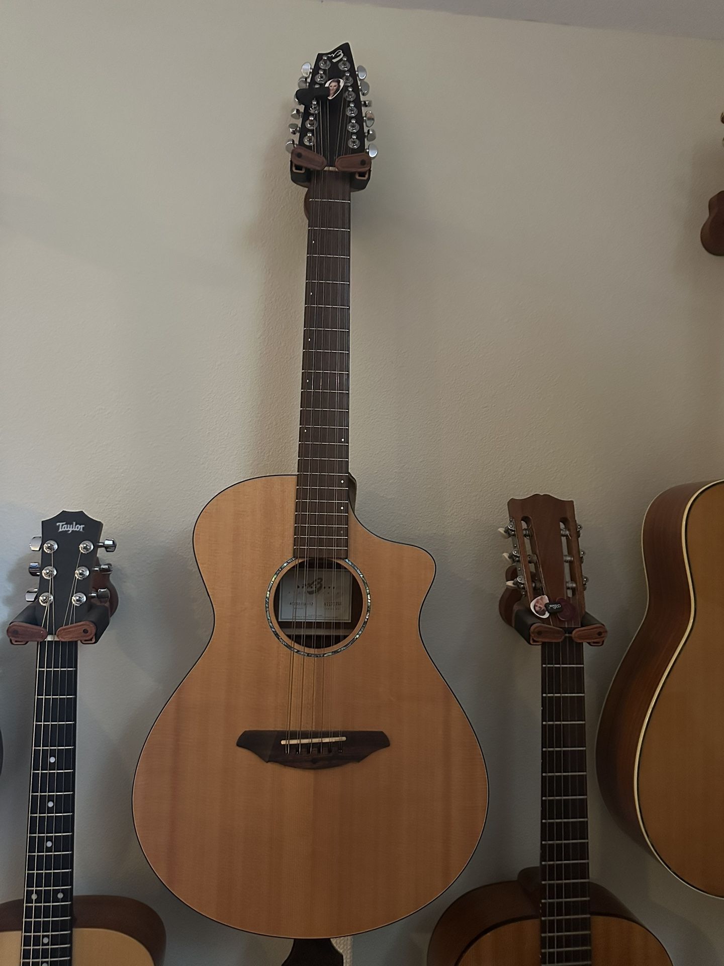 Breedlove Altas AC250/SM-12 12-string Acoustic W w/case