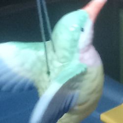 Takahashi Porcelain Hummingbird Vintage