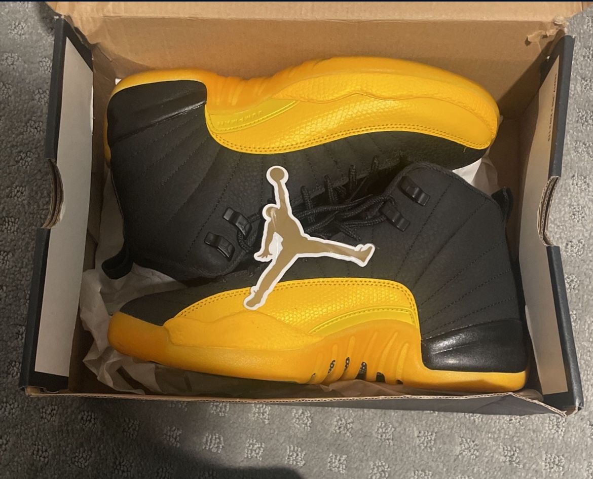 Jordan 12 Size 6