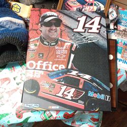 Tony Stewart Picture