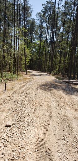 Land Clearing And Dirt Work 