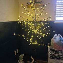 Cherry Blossom Tree