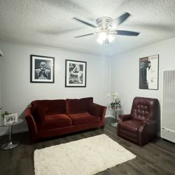 Red Velvet Couch