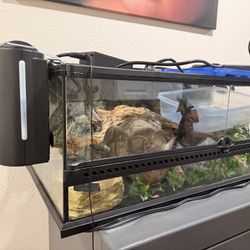 Reptile Tank
