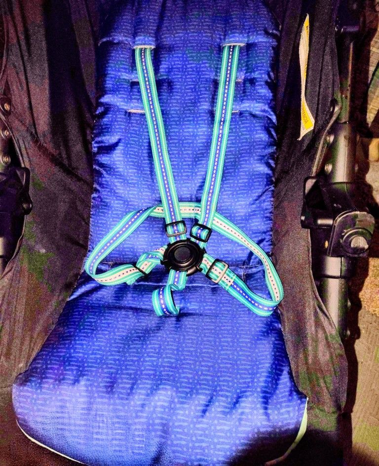 Cosco Kids Lift And Stroll DX