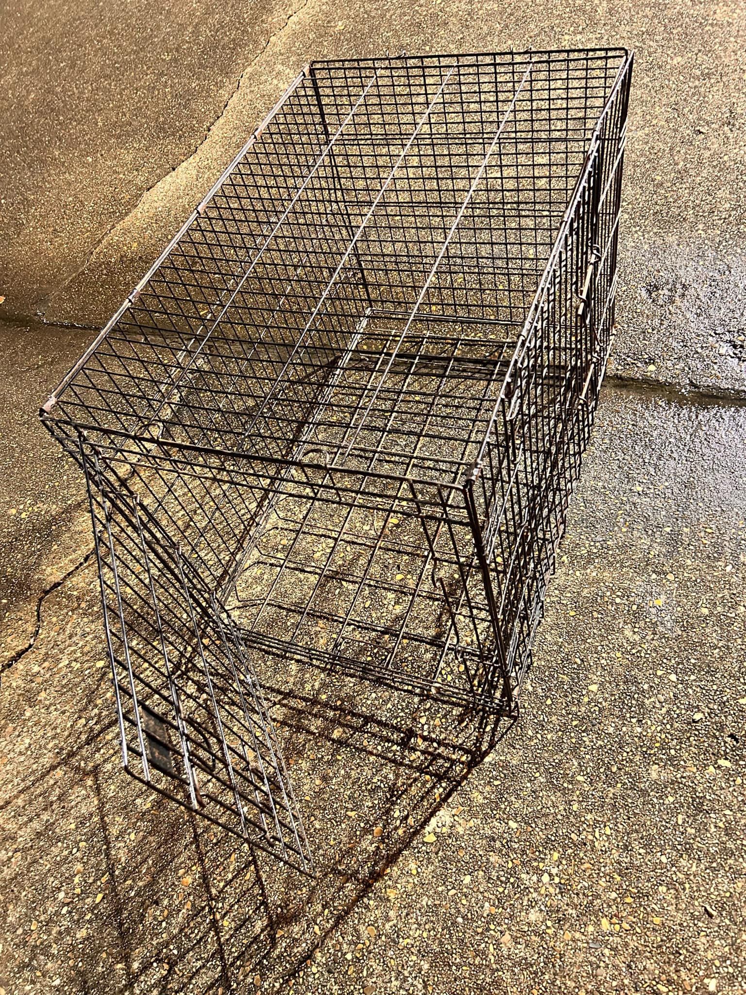 Dog Kennel 