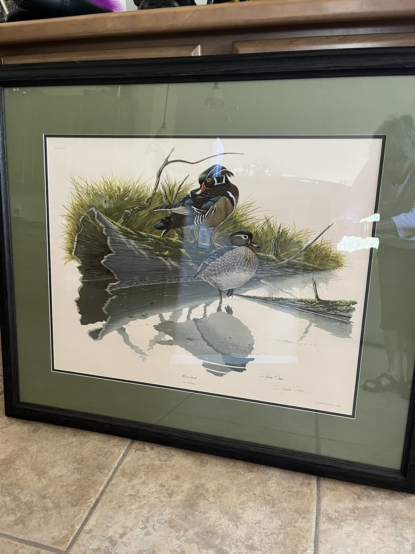 Wood Duck Original Lithograph Framed Print By Sloan Wade. Collectible Vintage
