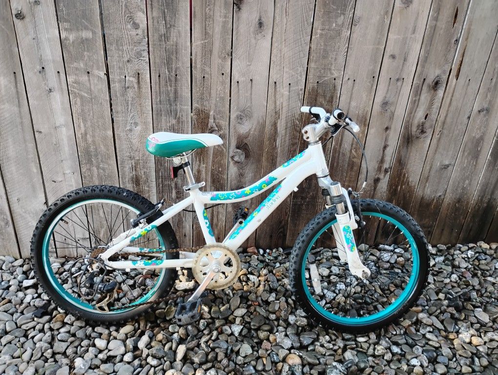Girls Bike (Good Brand)