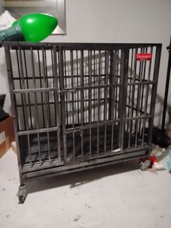 Dog Cage Alcatraz