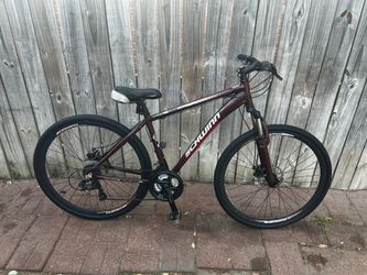 SCHWIIN DSB SPORT  29”