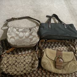 Purses And Wallet And Clutches 