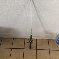 Profishiency  Fishing Pole 