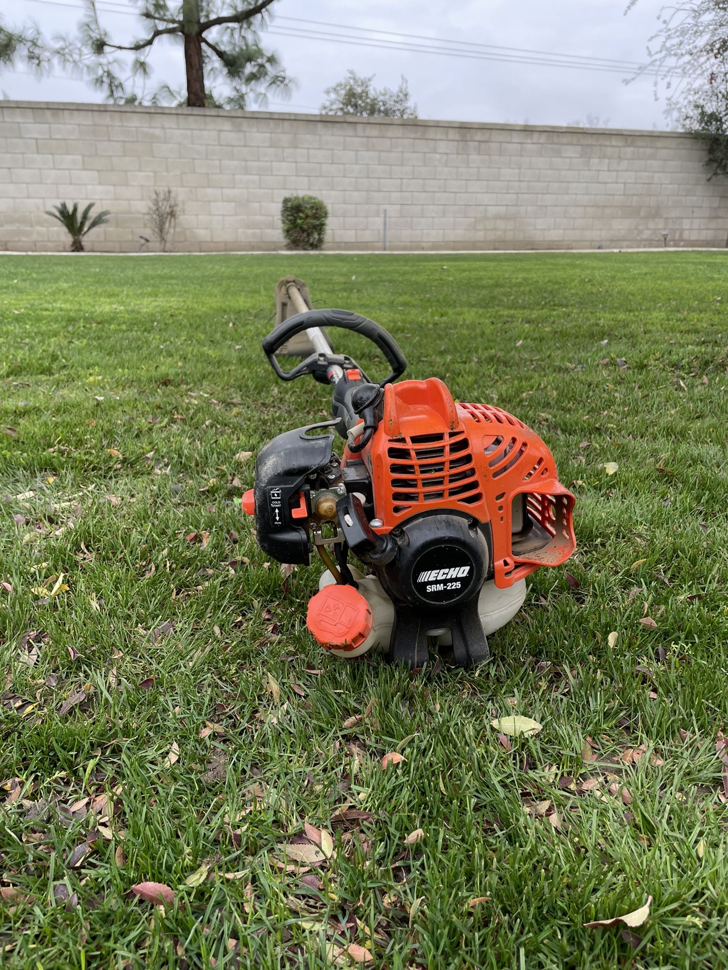 Echo pas online 225 weed eater