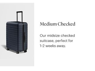 Away Medium Checked Luggage