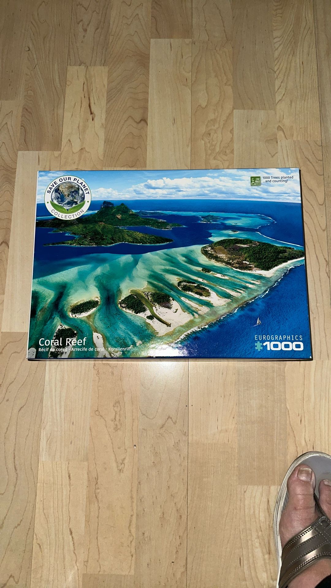 1000 Piece puzzle