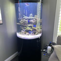 ATM 100 Gallon Fish Tank