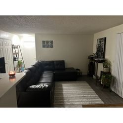 Chocolate brown Two piece sectional