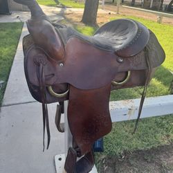 Saddle 15.5” 