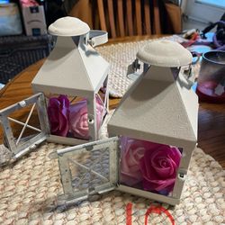 2 lanterns with flower petals.