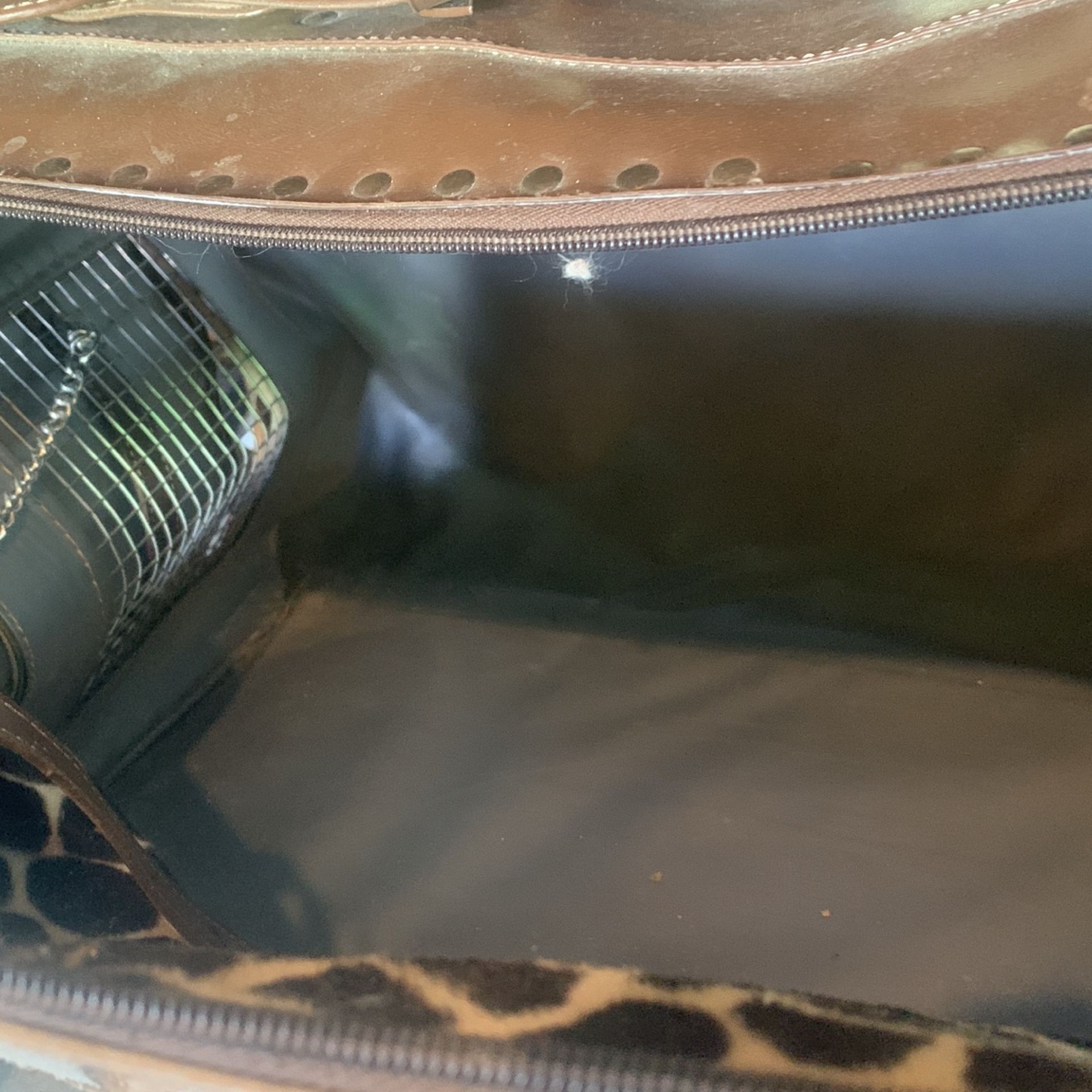 Animal Carrie ( Interior Ventilation Holes On Other Side As Well
