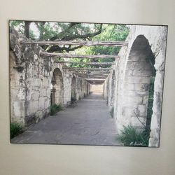 Ron Dulle Photography Walkway at the Alamo Art Print 20" x 16" Signed



