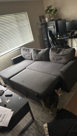 Free Fold Out Couch