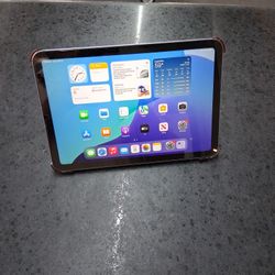 Ipad Mini 6th Gen 256gb Wifi Cellular 