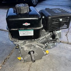 Brand New Briggs And Stratton 