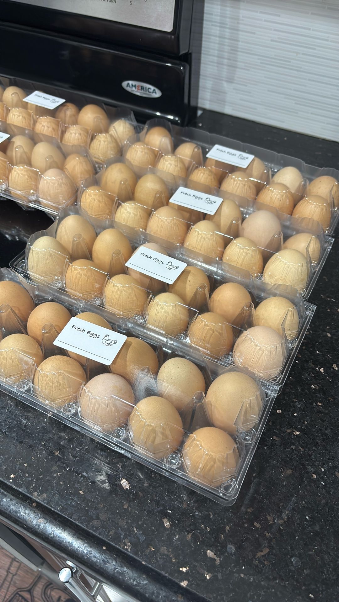Fresh Eggs, Huevos Criollos Frescos