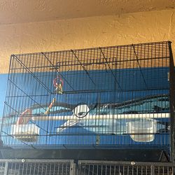 Jaula para pájaro .