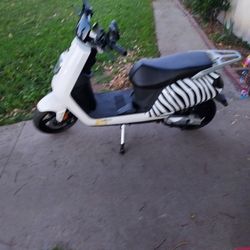Zebra Electric Scooter