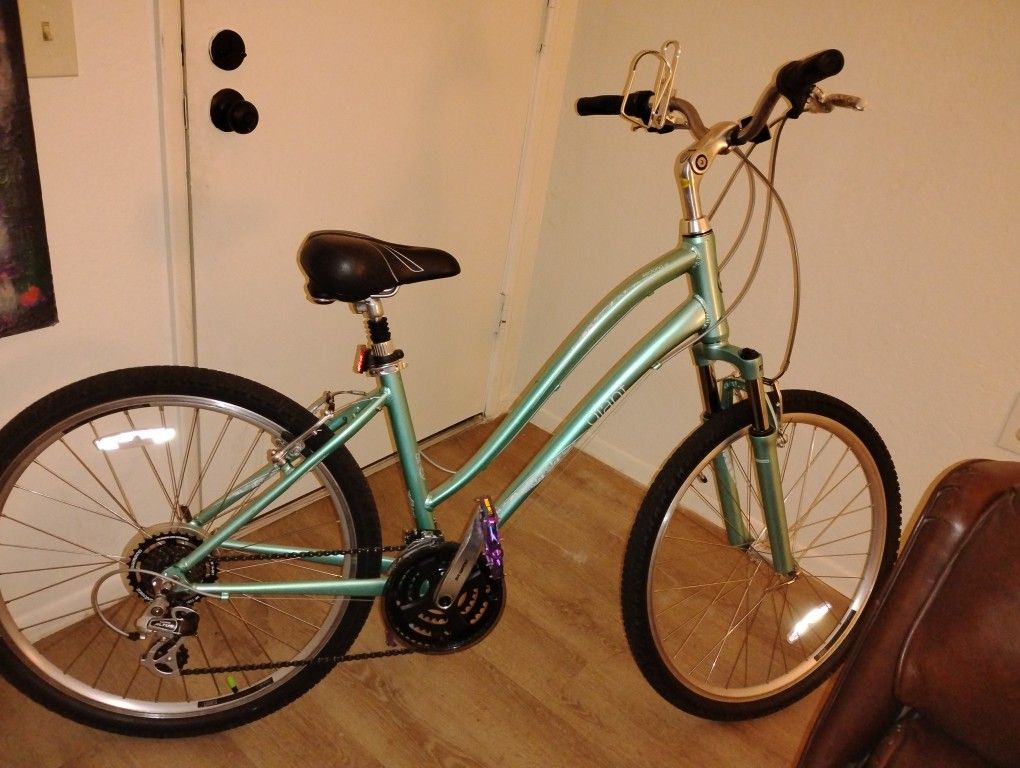 Giant Brand Bike