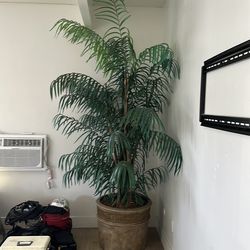 Fake palm tree