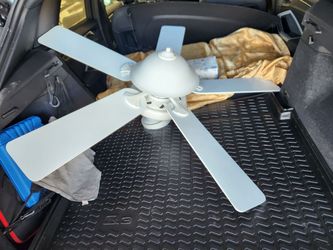 Ceiling Fan With Light