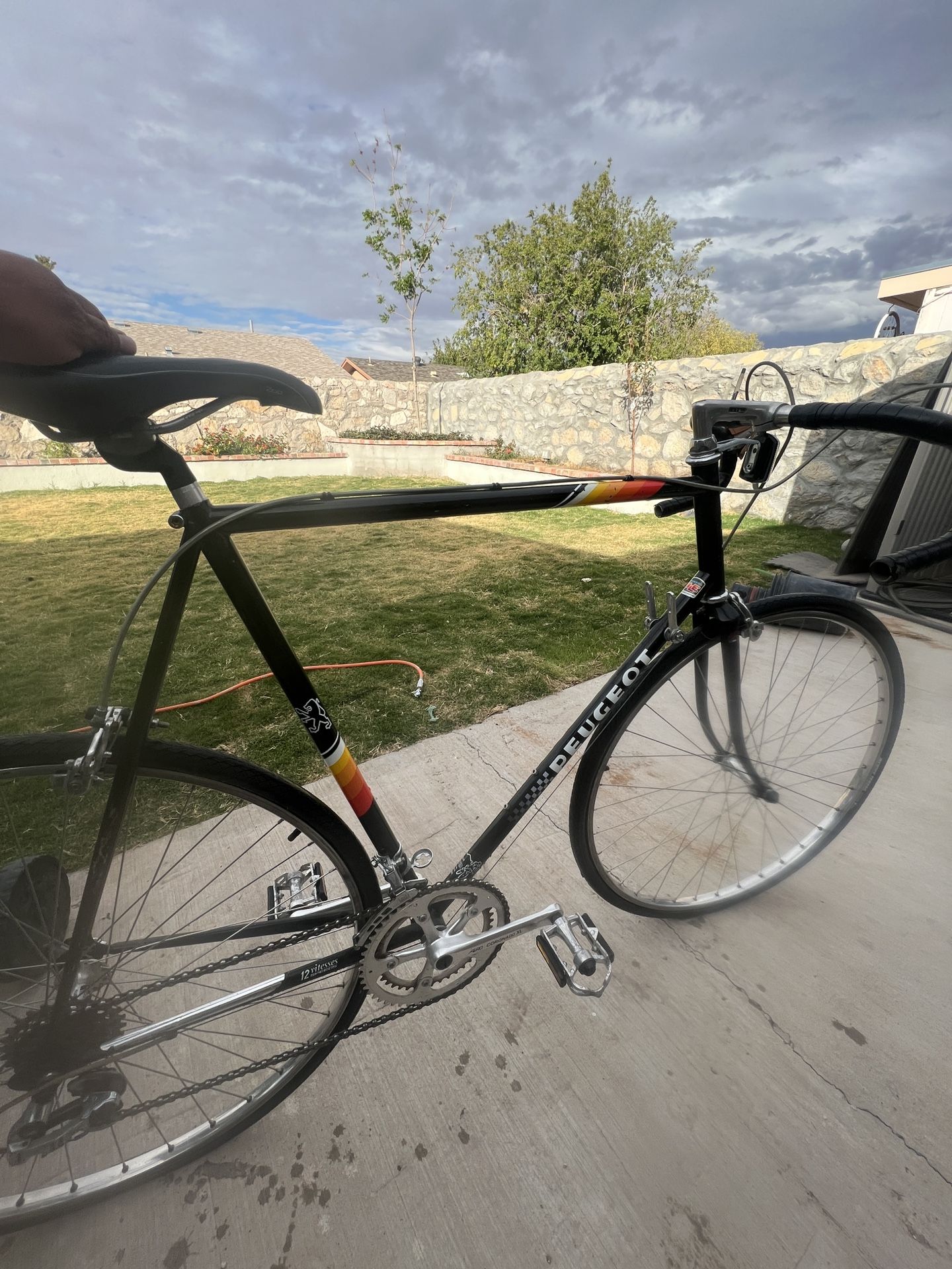 Puegot Road Bike 1983