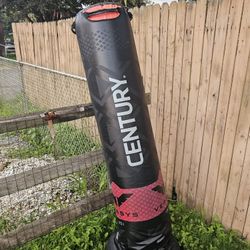 Century Kick Boxing / Punching Bag