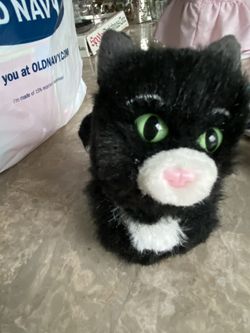 American girl doll kitty