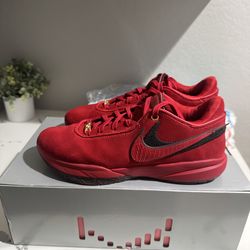 Lebron 20 LiverPool size 11