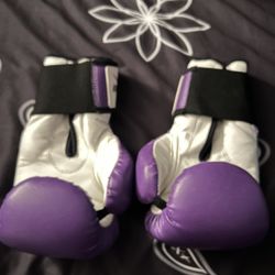 Kids Boxing Gloves 