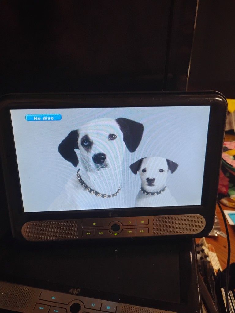 Portable DVD Player