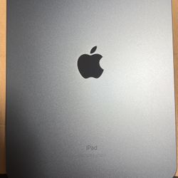 iPad (10th generation)