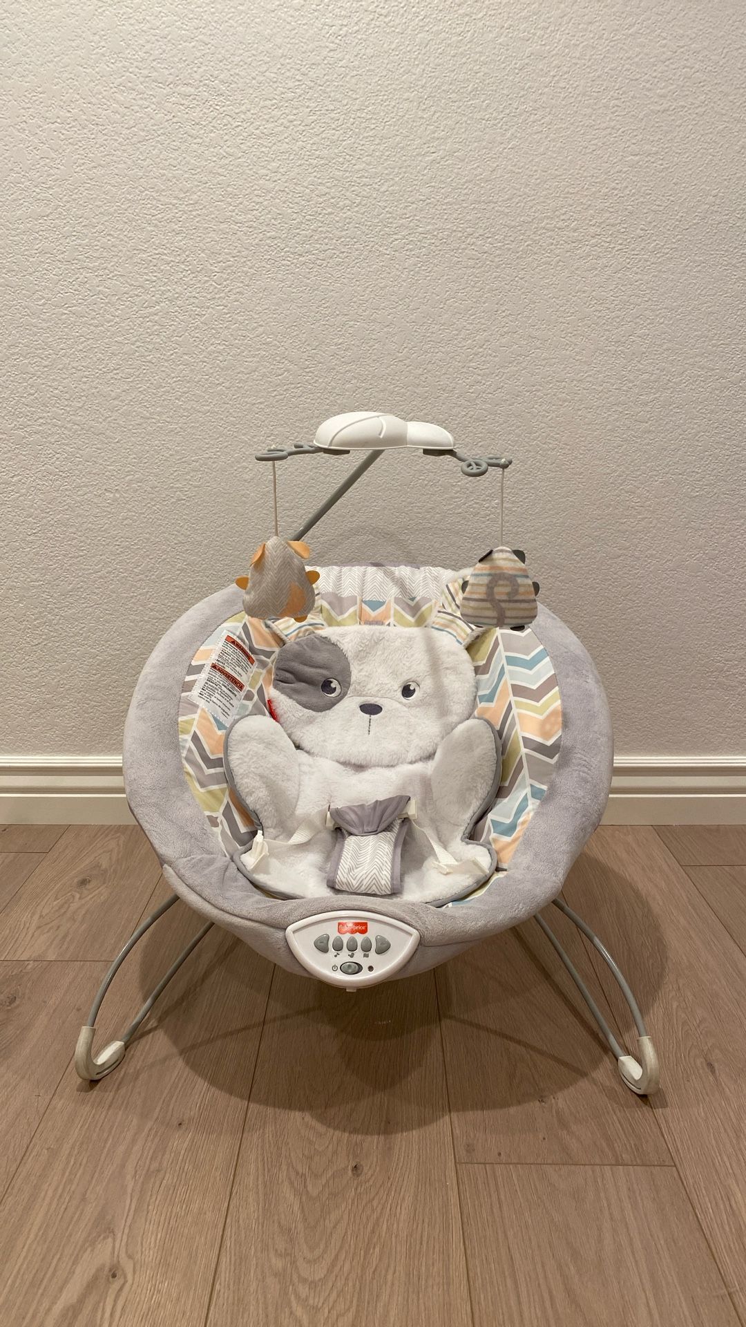 Fisher-Price Baby Bouncer